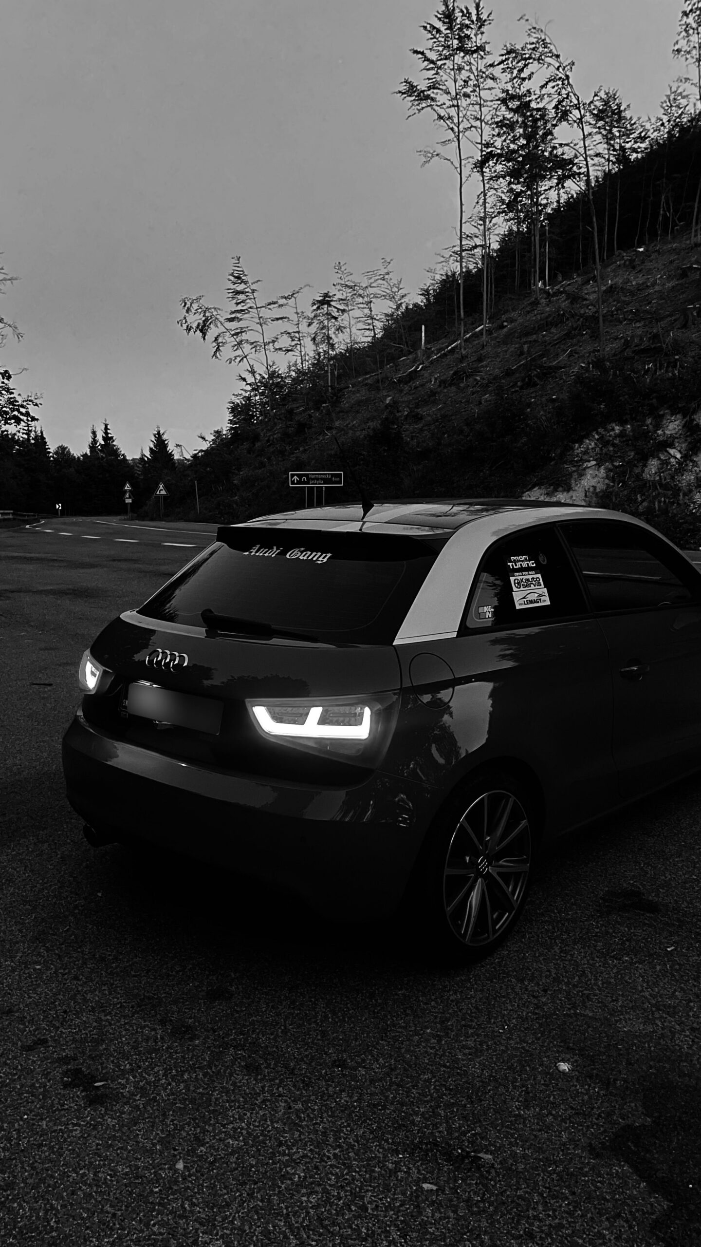 audi a1 na šturci